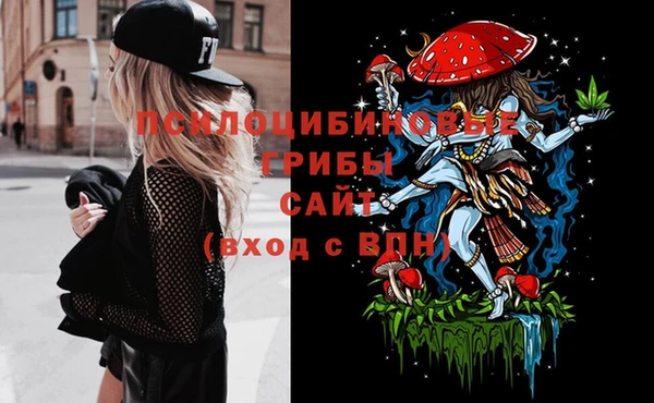 сатива Вяземский