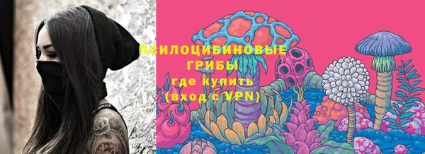 дмт Баксан