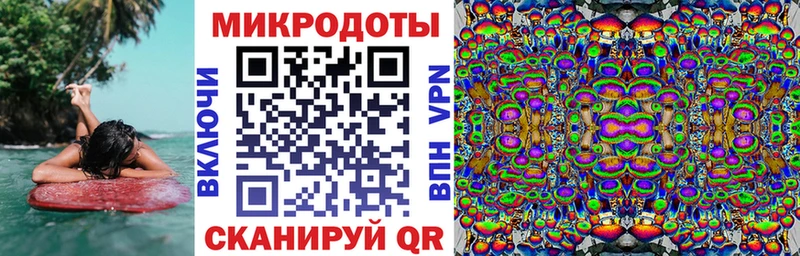 хочу наркоту  KRAKEN маркетплейс  Псилоцибиновые грибы Psilocybine cubensis  Купино 